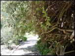 Click on one of the size names above to enlarge this image Click on one of the size names above to enlarge this image