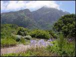 Click on one of the size names above to enlarge this image Click on one of the size names above to enlarge this image