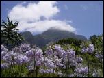 Click on one of the size names above to enlarge this image Click on one of the size names above to enlarge this image