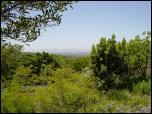Click on one of the size names above to enlarge this image Click on one of the size names above to enlarge this image