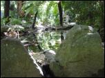 Click on one of the size names above to enlarge this image Click on one of the size names above to enlarge this image
