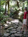 Click on one of the size names above to enlarge this image Click on one of the size names above to enlarge this image