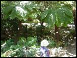 Click on one of the size names above to enlarge this image Click on one of the size names above to enlarge this image