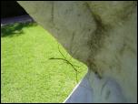 Click on one of the size names above to enlarge this image Click on one of the size names above to enlarge this image