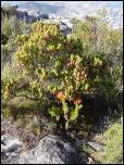 Click on one of the size names above to enlarge this image Click on one of the size names above to enlarge this image
