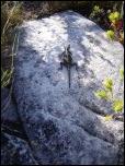 Click on one of the size names above to enlarge this image Click on one of the size names above to enlarge this image