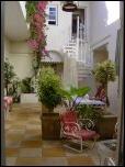 Click on one of the size names above to enlarge this image Click on one of the size names above to enlarge this image