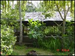 Click on one of the size names above to enlarge this image Click on one of the size names above to enlarge this image