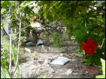 Click on one of the size names above to enlarge this image Click on one of the size names above to enlarge this image