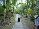 Click on one of the size names above to enlarge this image Click on one of the size names above to enlarge this image