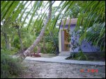 Click on one of the size names above to enlarge this image Click on one of the size names above to enlarge this image