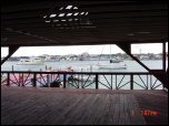 Click on one of the size names above to enlarge this image Click on one of the size names above to enlarge this image