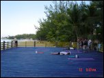 Click on one of the size names above to enlarge this image Click on one of the size names above to enlarge this image
