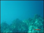 Click on one of the size names above to enlarge this image Click on one of the size names above to enlarge this image