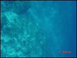 Click on one of the size names above to enlarge this image Click on one of the size names above to enlarge this image