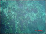 Click on one of the size names above to enlarge this image Click on one of the size names above to enlarge this image