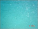 Click on one of the size names above to enlarge this image Click on one of the size names above to enlarge this image