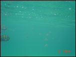 Click on one of the size names below to enlarge this image