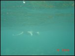 Click on one of the size names above to enlarge this image Click on one of the size names above to enlarge this image