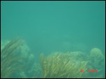 Click on one of the size names above to enlarge this image Click on one of the size names above to enlarge this image