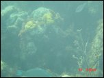 Click on one of the size names above to enlarge this image Click on one of the size names above to enlarge this image