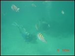 Click on one of the size names above to enlarge this image Click on one of the size names above to enlarge this image