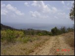 Click on one of the size names above to enlarge this image Click on one of the size names above to enlarge this image