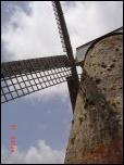 Click on one of the size names above to enlarge this image Click on one of the size names above to enlarge this image