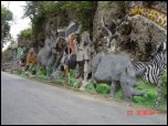 Click on one of the size names above to enlarge this image Click on one of the size names above to enlarge this image
