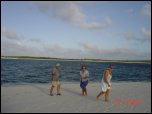Click on one of the size names above to enlarge this image Click on one of the size names above to enlarge this image