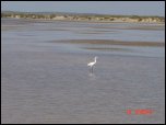 Click on one of the size names above to enlarge this image Click on one of the size names above to enlarge this image