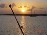 Click on one of the size names above to enlarge this image Click on one of the size names above to enlarge this image