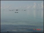 Click on one of the size names above to enlarge this image Click on one of the size names above to enlarge this image