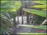 Click on one of the size names above to enlarge this image Click on one of the size names above to enlarge this image