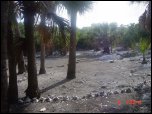 Click on one of the size names above to enlarge this image Click on one of the size names above to enlarge this image