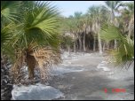 Click on one of the size names above to enlarge this image Click on one of the size names above to enlarge this image