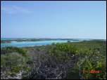 Click on one of the size names above to enlarge this image Click on one of the size names above to enlarge this image