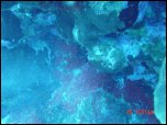 Click on one of the size names above to enlarge this image Click on one of the size names above to enlarge this image