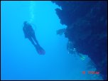 Click on one of the size names above to enlarge this image Click on one of the size names above to enlarge this image
