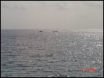 Click on one of the size names above to enlarge this image Click on one of the size names above to enlarge this image
