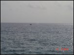 Click on one of the size names above to enlarge this image Click on one of the size names above to enlarge this image