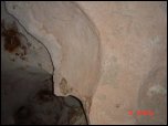 Click on one of the size names above to enlarge this image Click on one of the size names above to enlarge this image