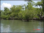 Click on one of the size names above to enlarge this image Click on one of the size names above to enlarge this image