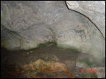Click on one of the size names above to enlarge this image Click on one of the size names above to enlarge this image