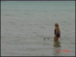 Click on one of the size names above to enlarge this image Click on one of the size names above to enlarge this image