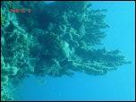 Click on one of the size names above to enlarge this image Click on one of the size names above to enlarge this image