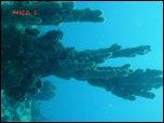 Click on one of the size names above to enlarge this image Click on one of the size names above to enlarge this image