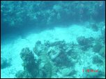 Click on one of the size names above to enlarge this image Click on one of the size names above to enlarge this image