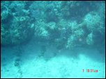 Click on one of the size names above to enlarge this image Click on one of the size names above to enlarge this image