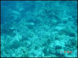 Click on one of the size names above to enlarge this image Click on one of the size names above to enlarge this image